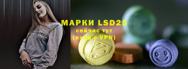 твердый Апатиты