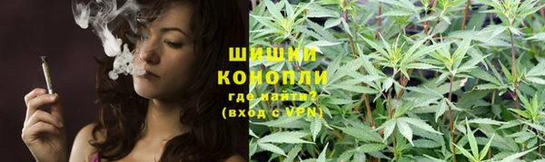 твердый Белокуриха