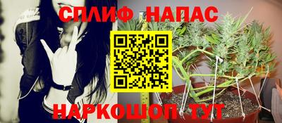 прущий лед Бийск