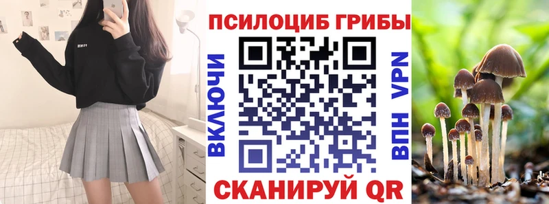 Галлюциногенные грибы Psilocybe Воркута