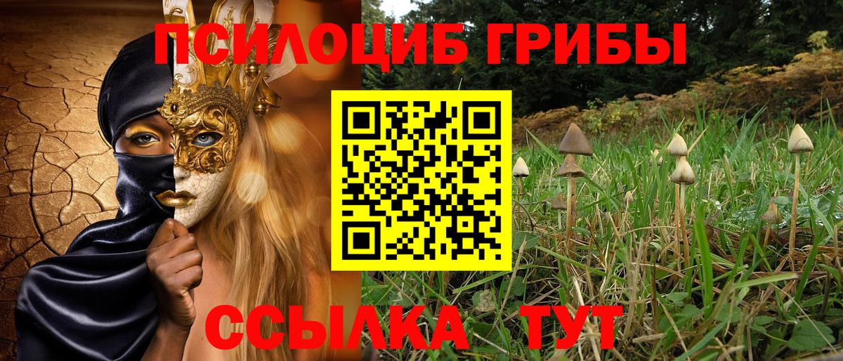 Галлюциногенные грибы MAGIC MUSHROOMS  Псилоцибиновые грибы Cubensis  Вход с VPN  Воркута 