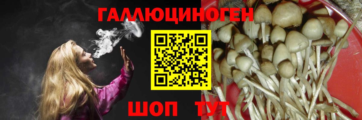 Псилоцибиновые грибы мицелий Воркута